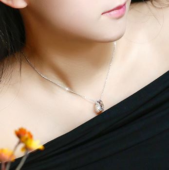 Fall in Love Ring Necklace