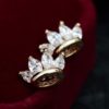 Golden Trim Rhinestone Crown Earrings