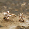 Star Flower Rhinestone Earrings