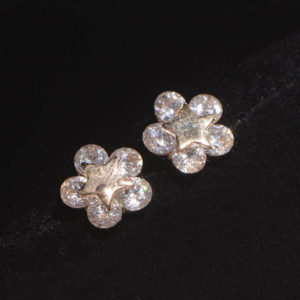 Star on Flower Rhinestone Earrings